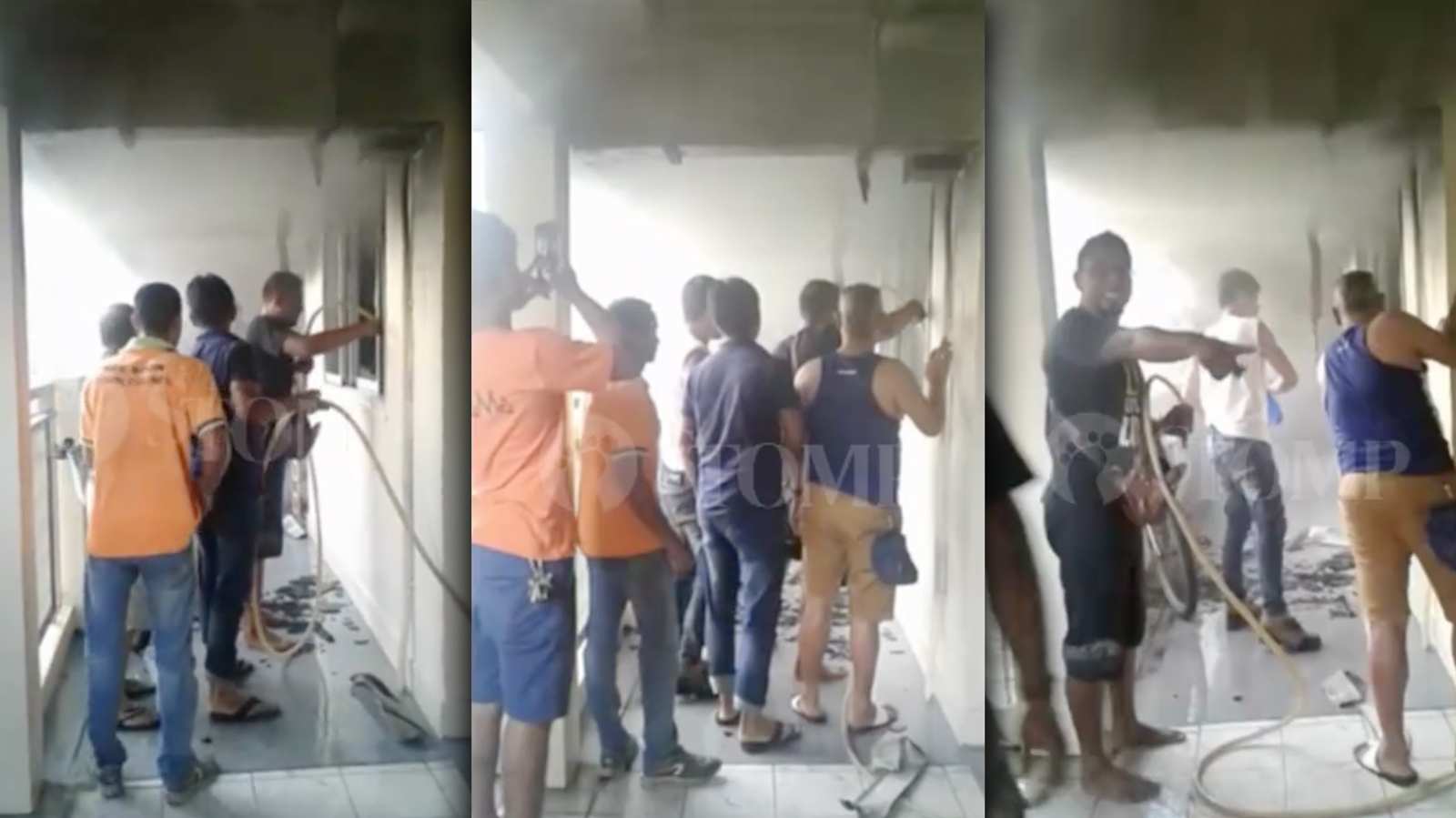 Neighbours band together to fight fire, save five cats from burning flat