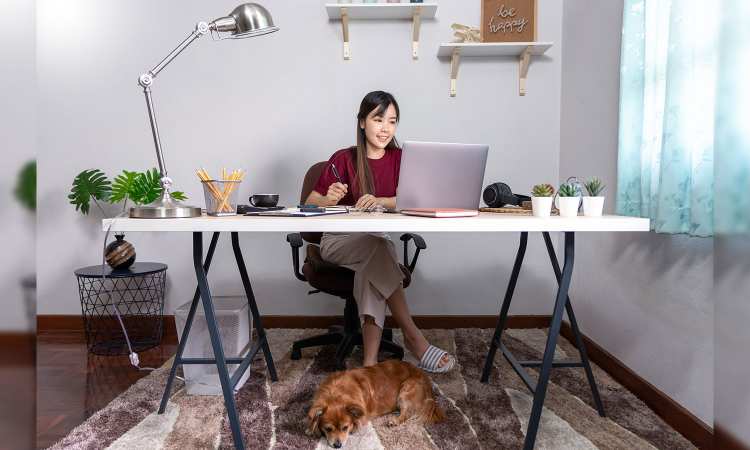 Post thumbnail of Five ways to cope with stress while working from home
