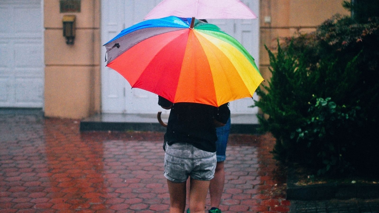 Post thumbnail of Looking on the bright side of a gloomy start to 2021