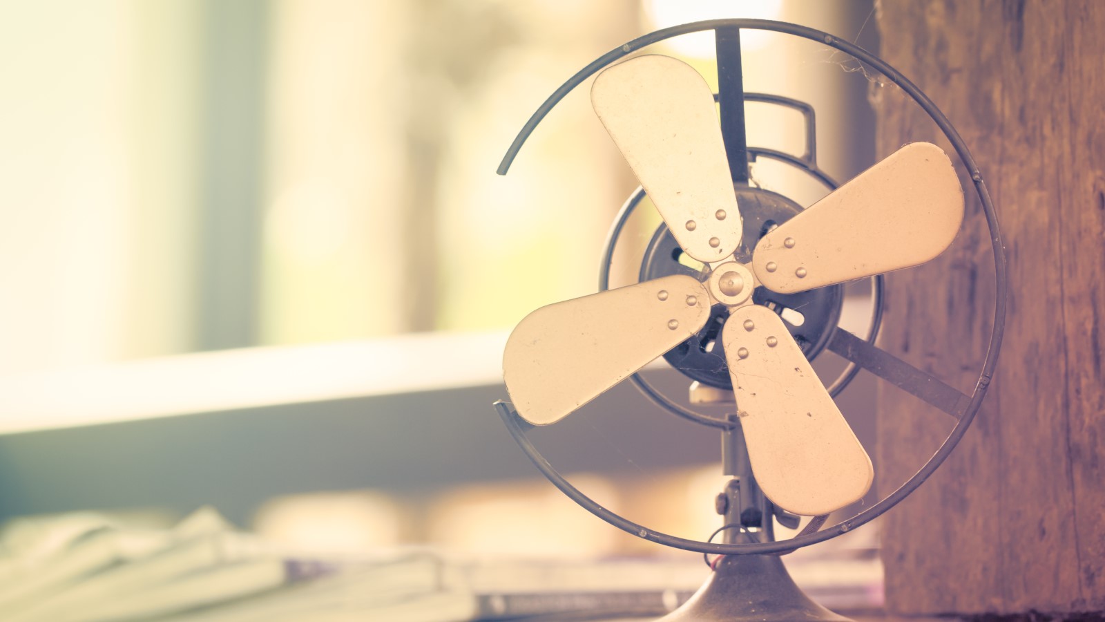 Post thumbnail of I found a new fan and friend when I visited an old-school hardware store