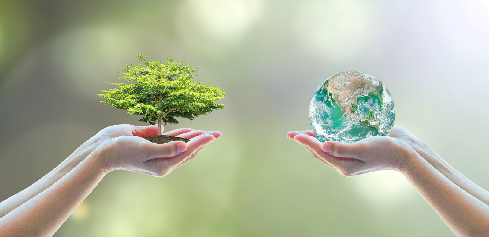 Post thumbnail of Save the Earth for SG World Environment Day, Do your part!