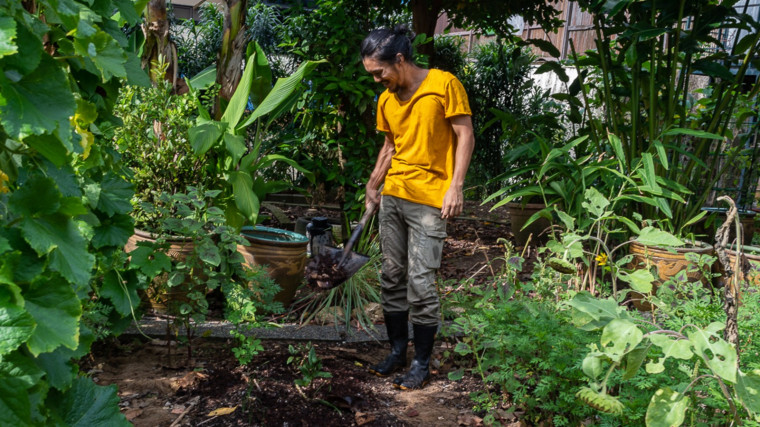 Marcus within the urban farms of edible plants