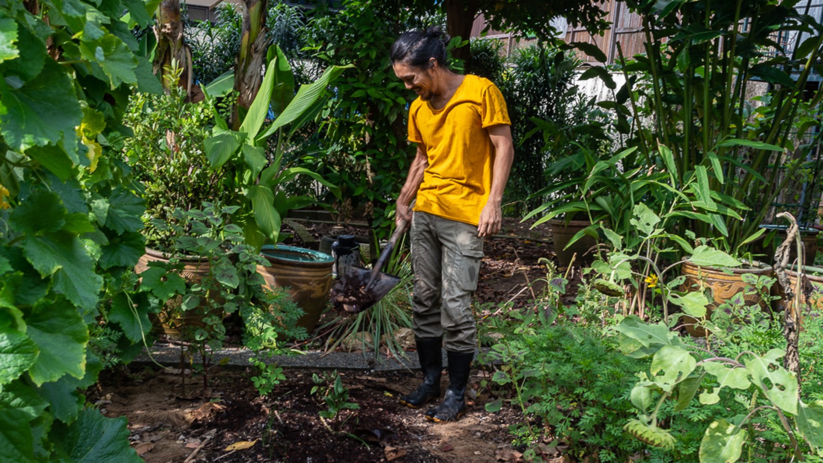 Post thumbnail of “Let Nature be the farmer”: He turns underused plots of land into urban gardens