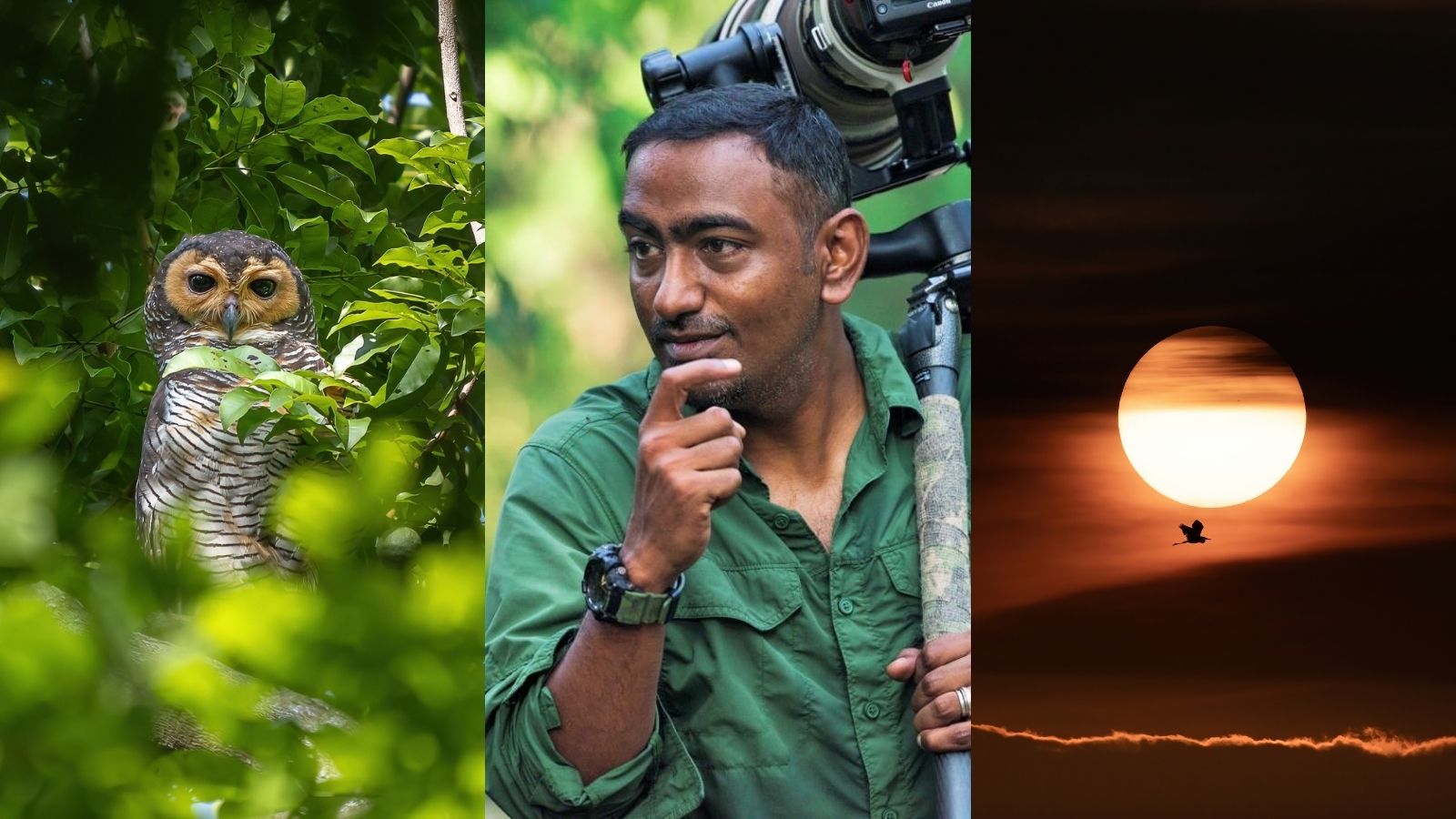 Post thumbnail of He captures amazing wildlife shots right here in Singapore’s own nature parks