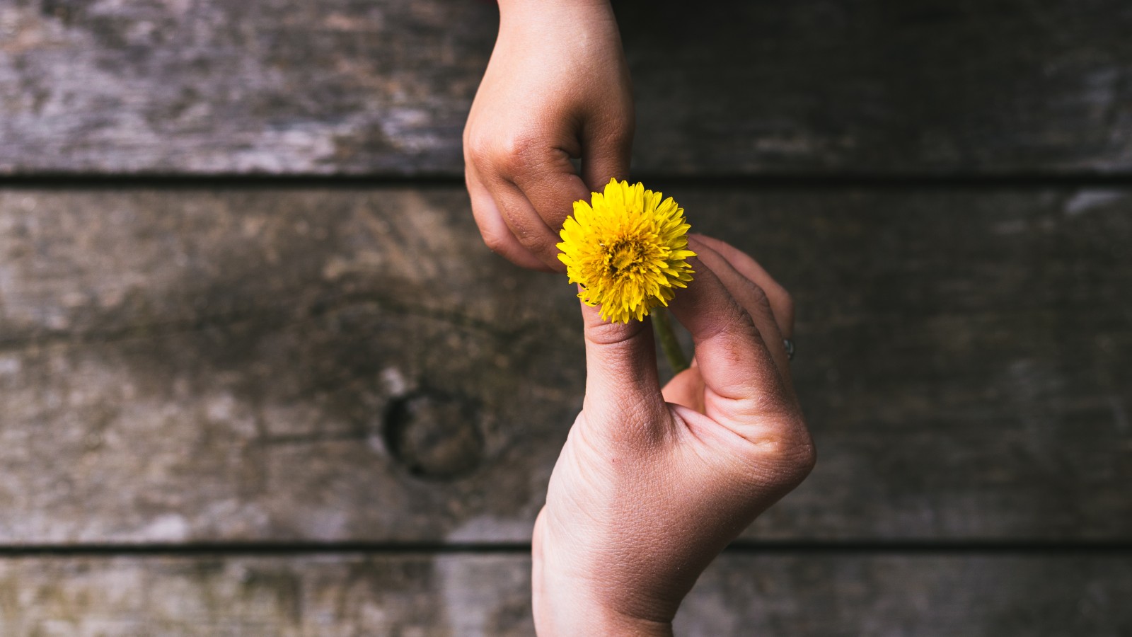 Post thumbnail of Spread a little kindness at work, no matter the role you hold