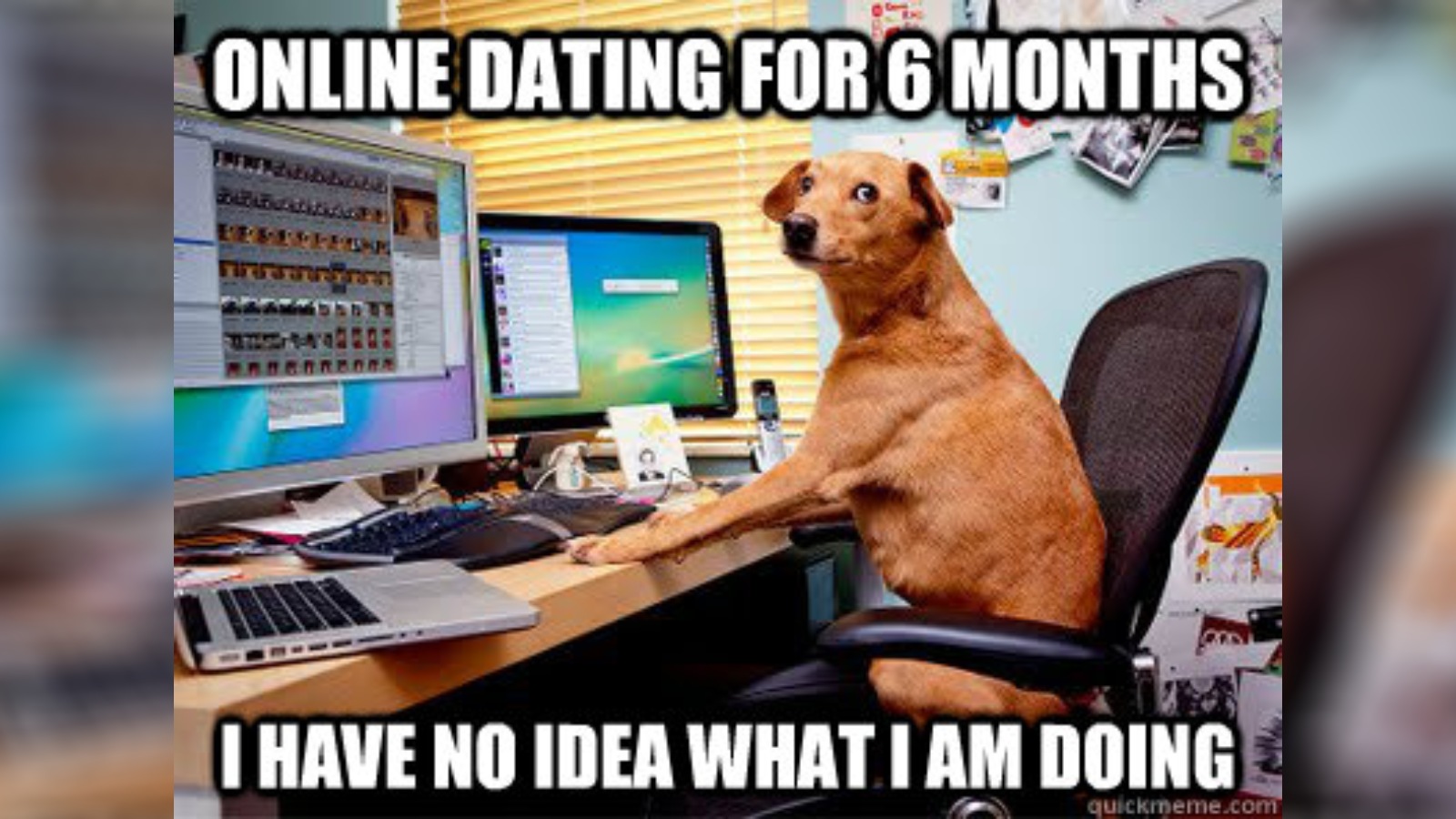 Post thumbnail of Swipe left on your singlehood: 3 dating app tips for Valentine’s Day