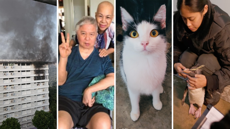 A Kind Take: On Jalan Batu’s fire and kampung spirit, more help for caregivers, AVS’ pet adoption drive and Bird Paradise’s great penguin migration!